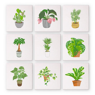 9 Mini Paintings – Indoor Plants Set | Paint by Numbers