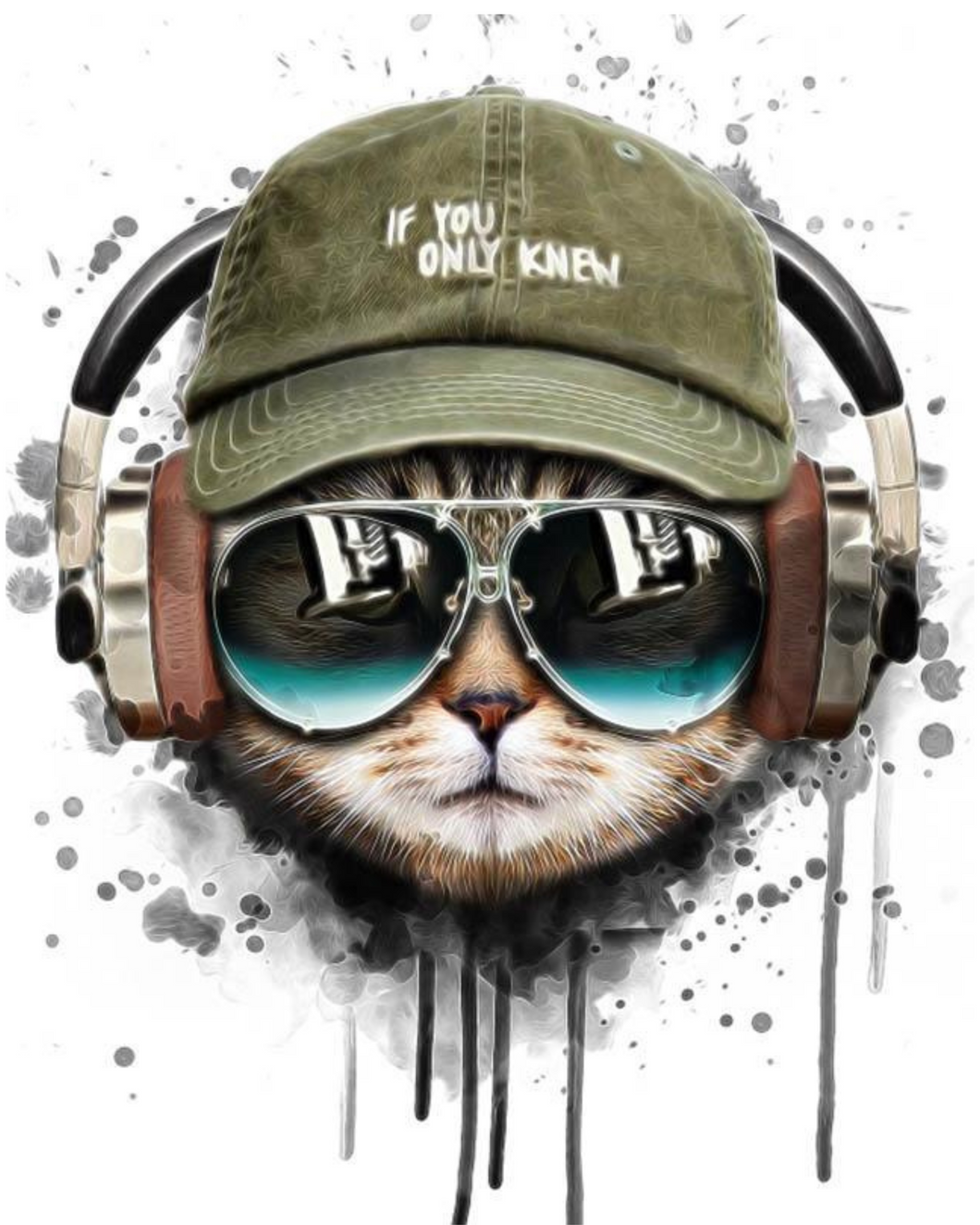 Cool Cat with Headphones | Paint by Numbers