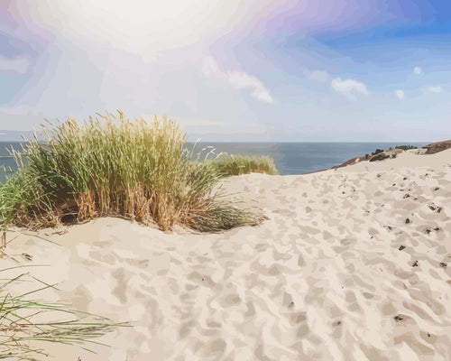 Dunes on the Sandy Beach of the Baltic Sea | Painting by Numbers