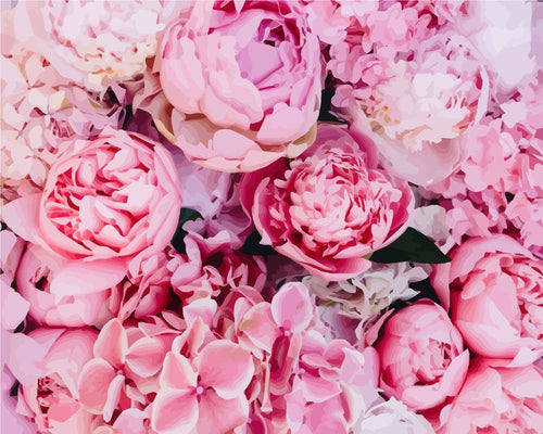 Pink Peonies Background | Paint by Numbers