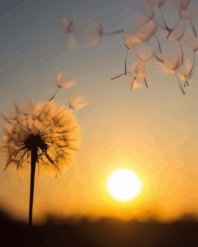 Dandelion at Sunset | Paint by Numbers