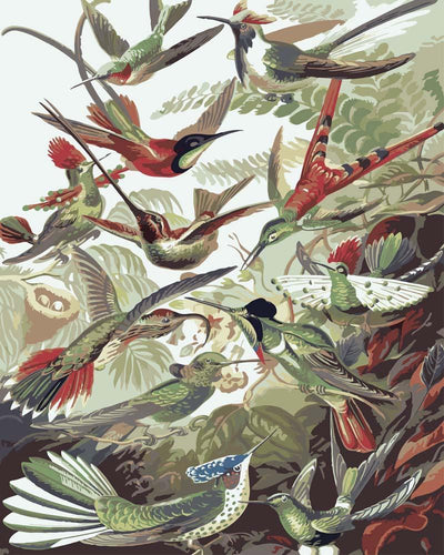 Hummingbirds Trochilidae by Ernst Haeckel | Paint by Numbers