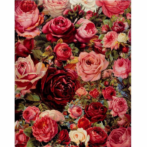 Sea of Roses | Paint by Numbers